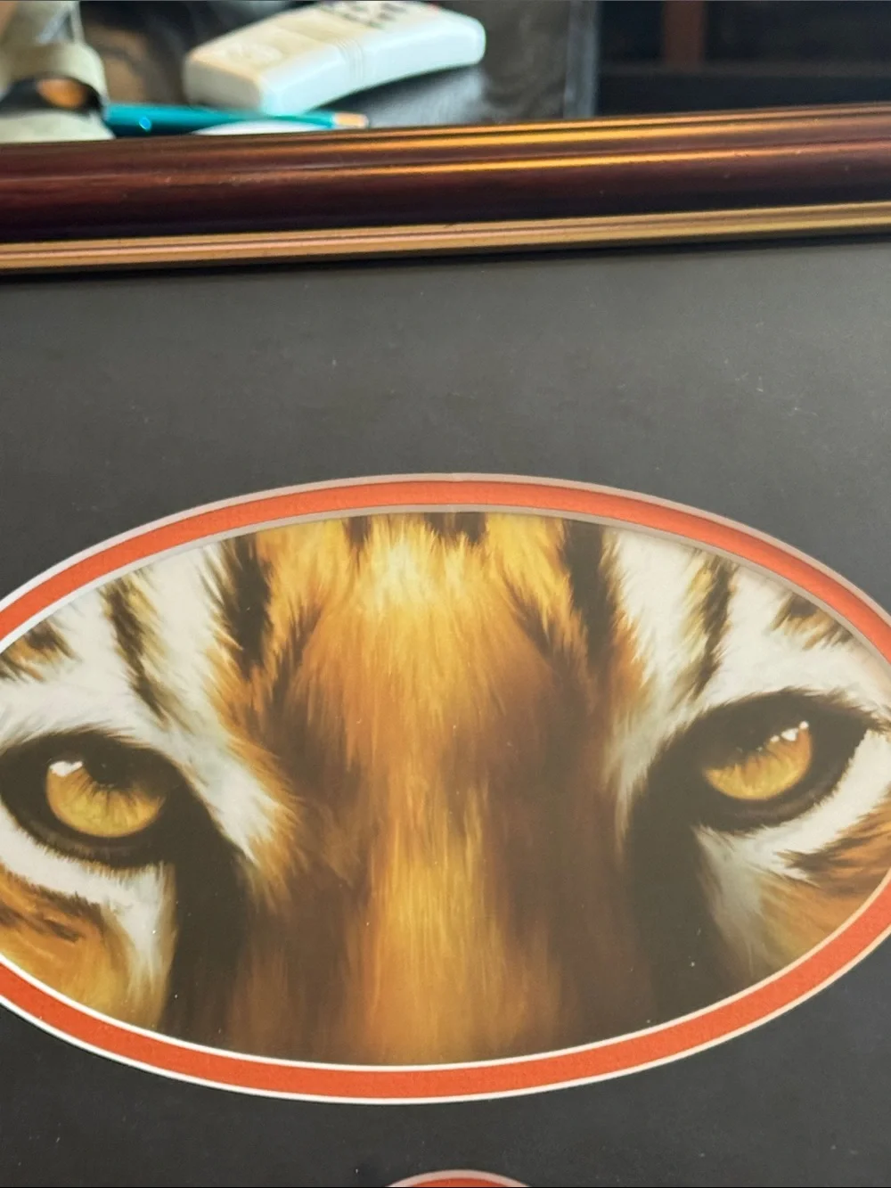 Auburn Tigers Tiger Eyes Framed Wall Art - Brown and Gold Accent 13 x 15